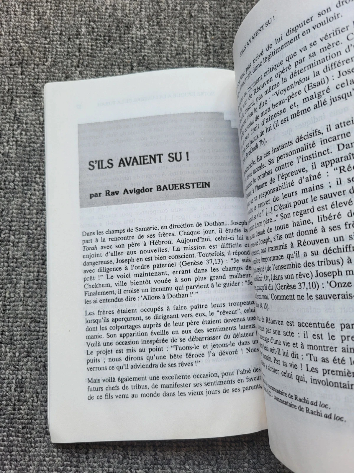 Livre Emounah n°19 Pensée Juive Rav El'hanan Wasserman Judaïsme Torah – photo 7